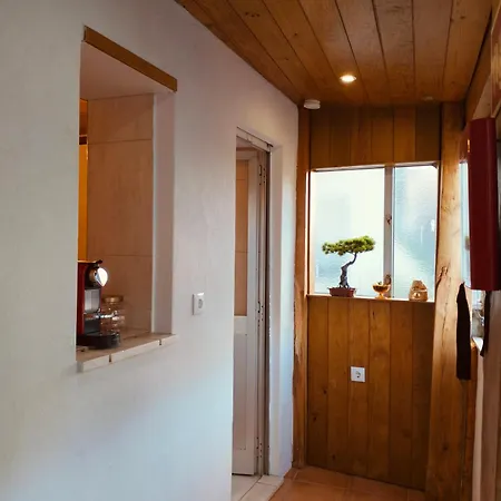 Cozy House *